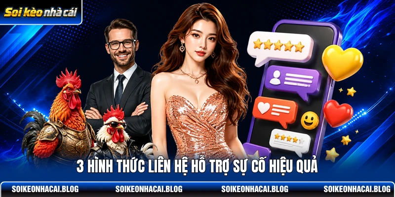 3 hình thức liên hệ hỗ trợ sự cố hiệu quả