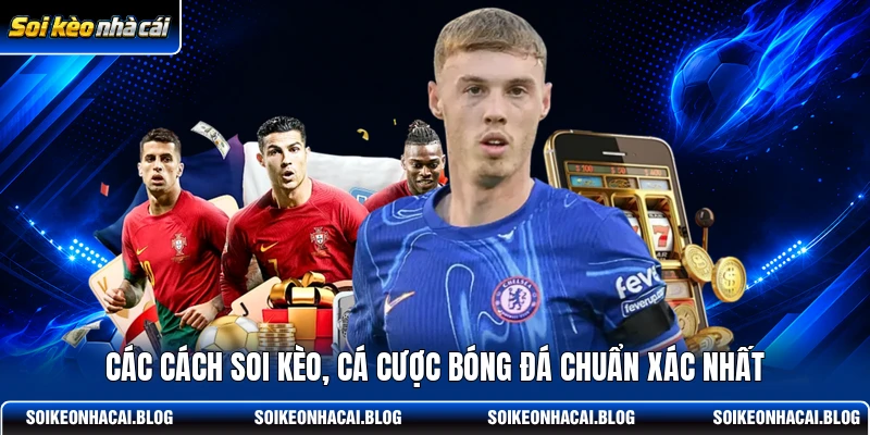 Các cách soi kèo, cá cược bóng đá chuẩn xác nhất