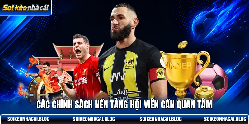 Các chính sách nền tảng hội viên cần quan tâm