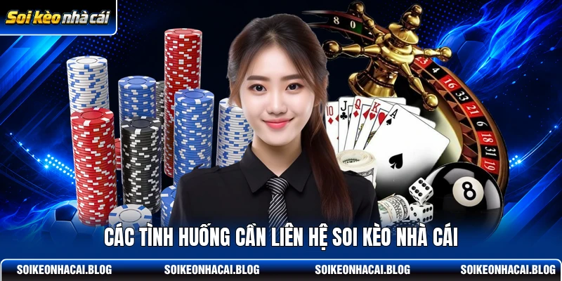 Các tình huống cần liên hệ Soi Kèo Nhà Cái