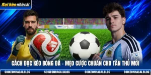 cach doc keo bong da meo cuoc chuan cho tan thu moi