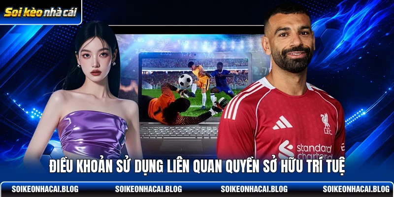 Điều khoản sử dụng liên quan quyền sở hữu trí tuệ