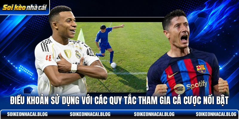 dieu khoan su dung voi cac quy tac tham gia ca cuoc noi bat
