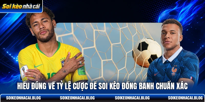 Hiểu đúng về tỷ lệ cược để soi kèo đồng banh chuẩn xác Hiểu đúng về tỷ lệ cược để soi kèo đồng banh chuẩn xác