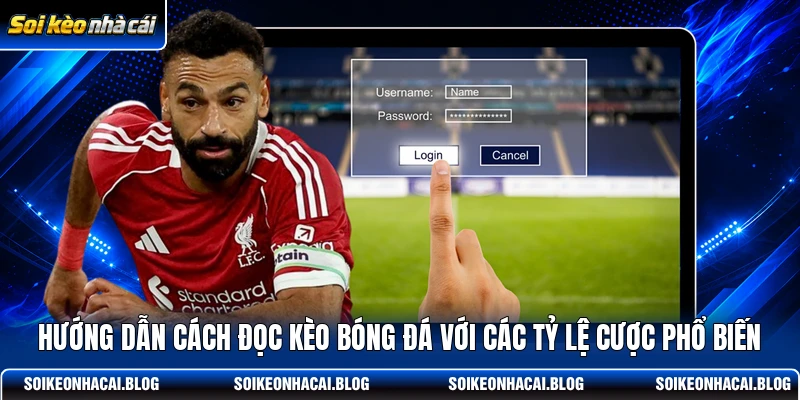 Hướng dẫn cách đọc kèo bóng đá với các tỷ lệ cược phổ biến