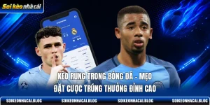 keo rung trong bong da meo dat cuoc trung thuong dinh cao