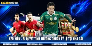 keo xien bi quyet tinh thuong chuan ty le tai nha cai