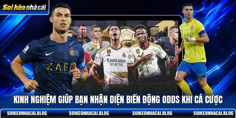 Kinh nghiệm giúp bạn nhận diện biến động odds khi cá cược Kinh nghiệm giúp bạn nhận diện biến động odds khi cá cược