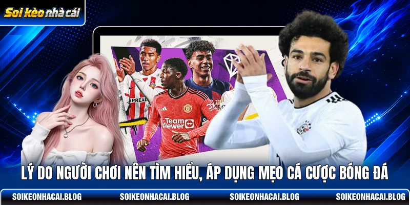 Lý do người chơi nên tìm hiểu, áp dụng mẹo cá cược bóng đá