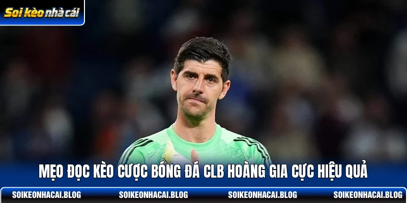 Mẹo đọc kèo cược bóng đá CLB Hoàng Gia cực hiệu quả