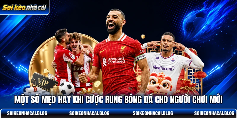 Một số mẹo hay khi cược rung bóng đá cho người chơi mới