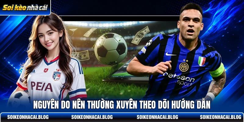 Nguyên do nên thường xuyên theo dõi hướng dẫn