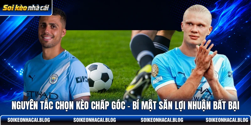 nguyen tac chon keo chap goc bi mat san loi nhuan bat bai