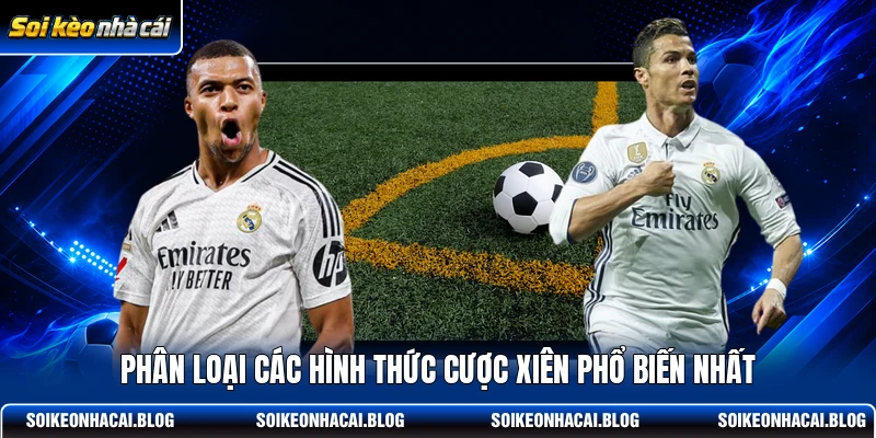Phân loại các hình thức cược xiên phổ biến nhất Phân loại các hình thức cược xiên phổ biến nhất