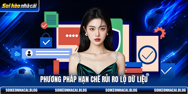 Phương pháp hạn chế rủi ro lộ dữ liệu Phương pháp hạn chế rủi ro lộ dữ liệu