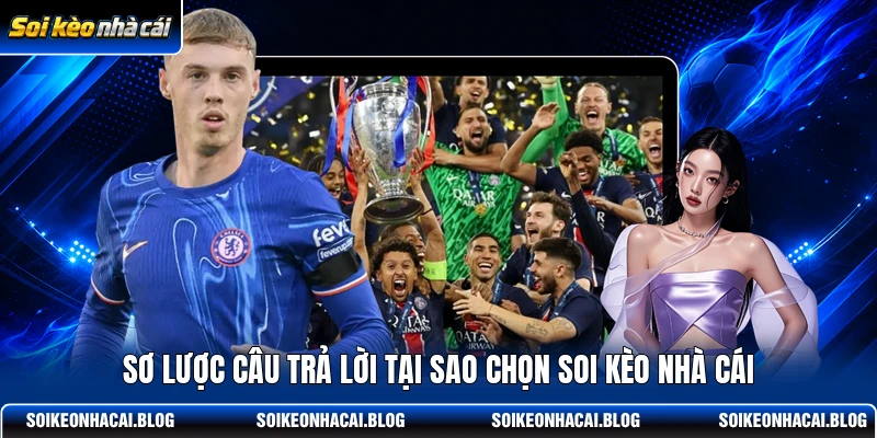 Sơ lược câu trả lời tại sao chọn Soi Kèo Nhà Cái Sơ lược câu trả lời tại sao chọn Soi Kèo Nhà Cái