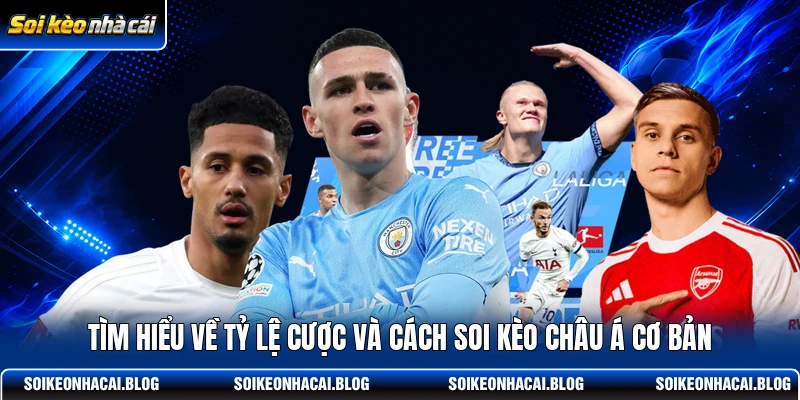 Tìm hiểu về tỷ lệ cược và cách soi kèo châu Á cơ bản Tìm hiểu về tỷ lệ cược và cách soi kèo châu Á cơ bản