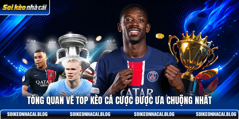 Tổng quan về top kèo cá cược được ưa chuộng nhất Tổng quan về top kèo cá cược được ưa chuộng nhất
