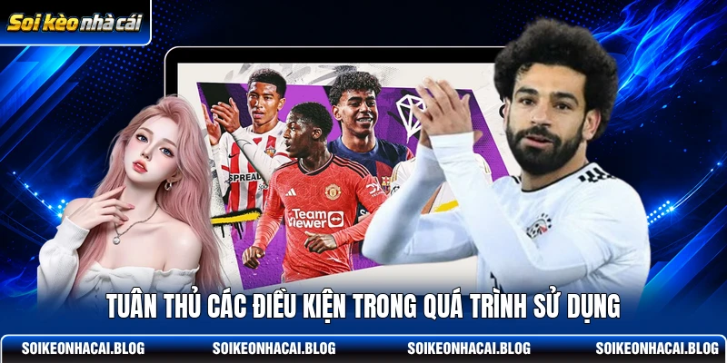 Tuân thủ các điều kiện trong quá trình sử dụng
